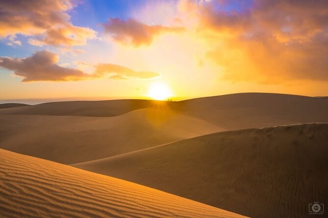 Qatar Desert Safari, Dune Bashing (Private Safari Tour) - Who will enjoy this safari most