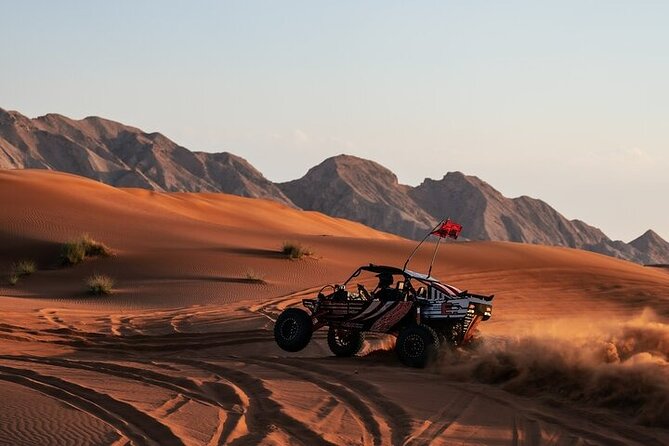 Qatar Desert Thrills Self Ride Dune Buggy Safari and Camel Ride - Is $199 per person good value?