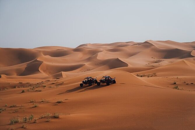 Qatar Desert Thrills Self Ride Dune Buggy Safari and Camel Ride - Who will enjoy this desert outing most?