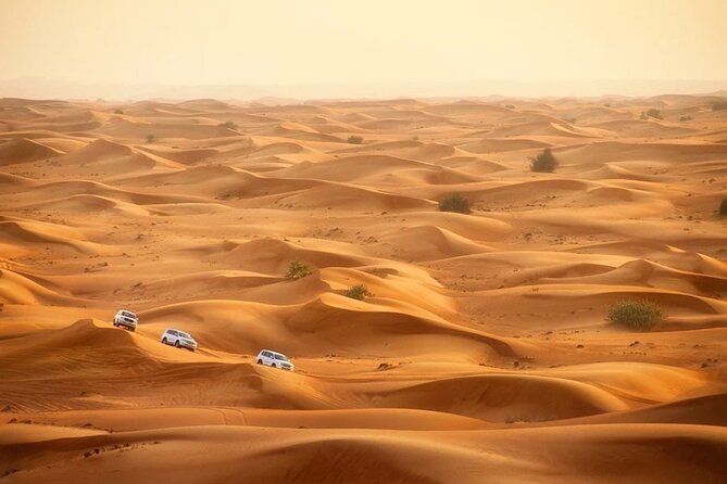 Qatar Dune Buggy Private Experience - Safety: read the fine print before you drive