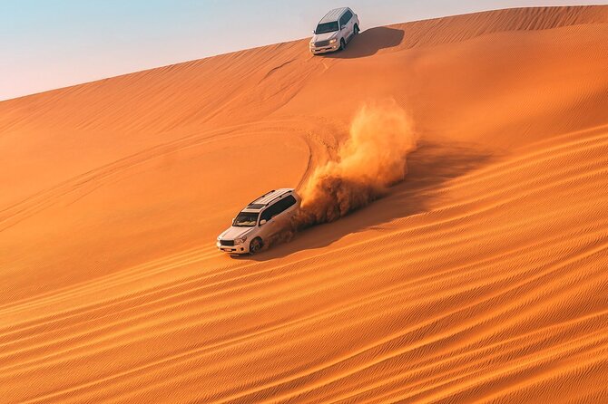Qatar Dune Buggy Private Experience - Who should book this desert experience?