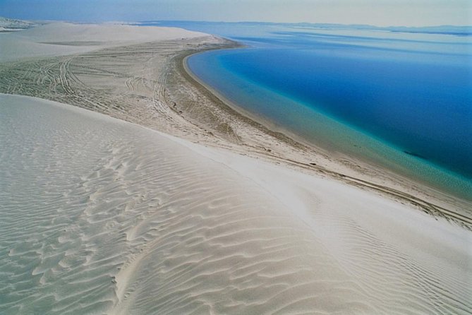 Qatar Gold Dune Safari, Dune Bashing,Camel Ride,Sand Boarding,Inland Sea Desert - Dune bashing is thrilling, loud, and rough