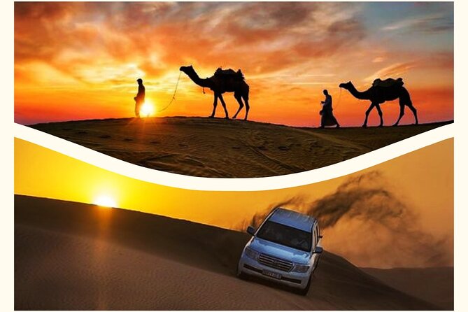 Qatar Sunset Desert Safari: Dune Bashing & Golden Sands Adventure - Key points to know before booking