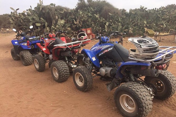 Quad adventure - IN AGADIR, DUNES, FOREST, BEACH - Mint tea and the Berber pause