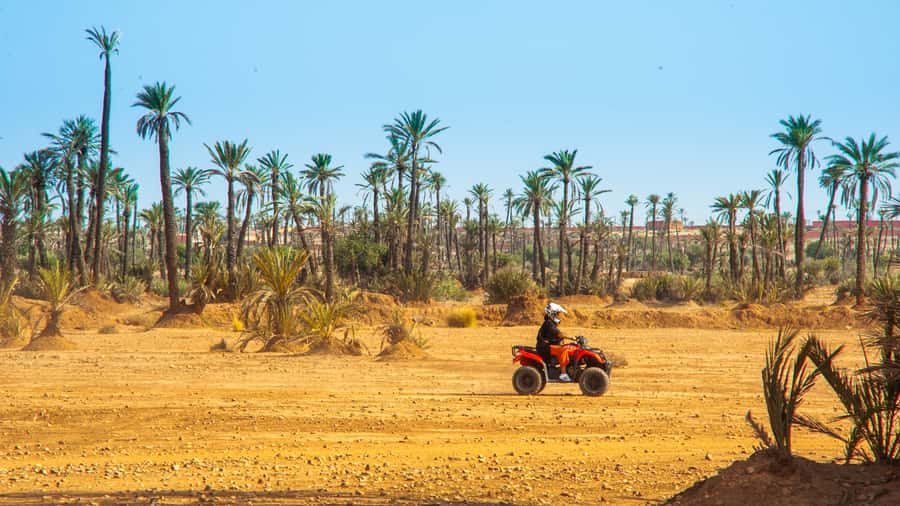 Quad Bike Activity in Marrakech Palmeraie - Palm trees, desert tracks, and a quiet pause