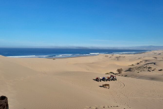 Quad Bike and Sandboarding on Sand Dunes Wild Beach - A glimpse of Berber village life