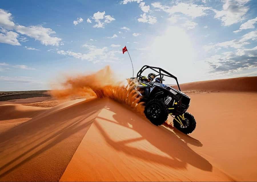Quad Bike/Buggy, Desert Safari, Camel Ride, Dune Bashing - From Doha to the edge of the desert