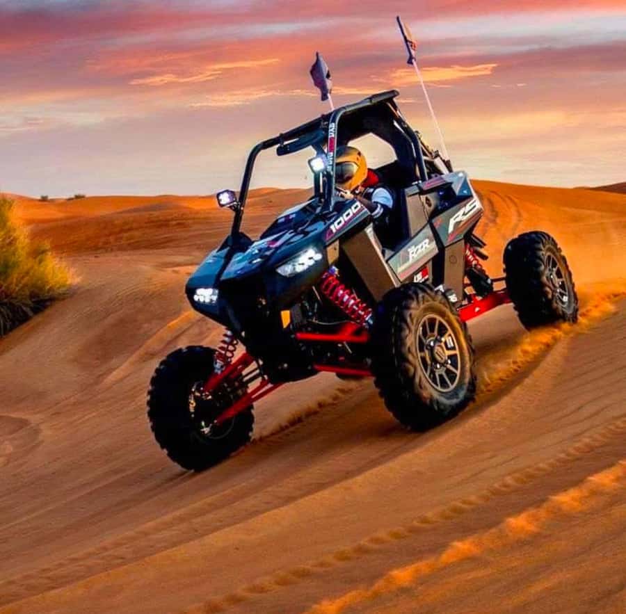 Quad Bike/Buggy, Desert Safari, Camel Ride, Dune Bashing - What the $43 price covers
