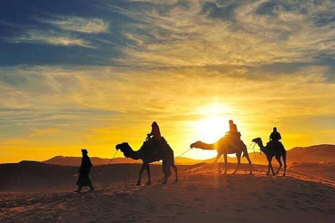 Quad Bike & Camel Ride & Dinner Show In Agafay Desert - The real value of the $30 price