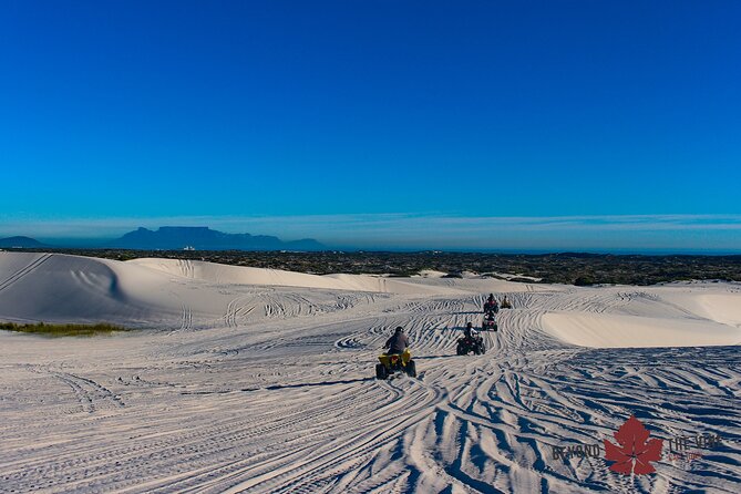 Quad bike in the Atlantis sand dunes Cape Town - Is the $83.39 price good value?