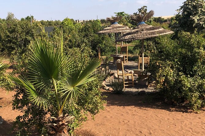 Quad Biking and Sandboarding on Sand Dunes Wild Beach - Mint tea after the engines stop