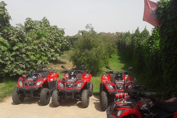 Quad Biking and Sandboarding on Sand Dunes Wild Beach - A flexible cancellation window