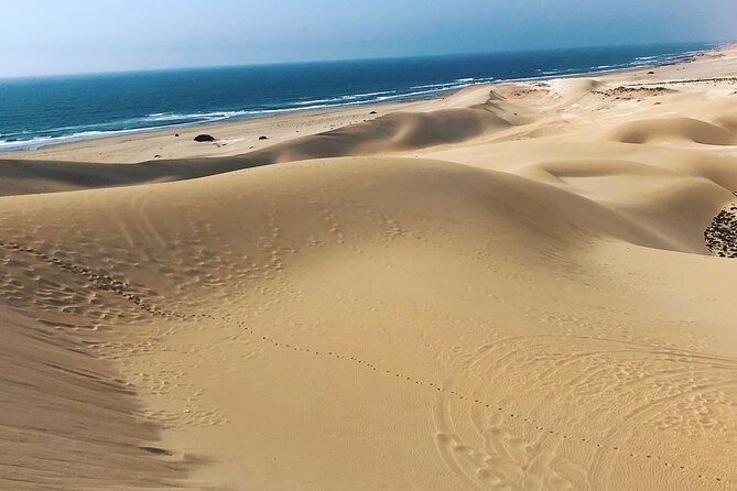 Quad Biking and Sandboarding on Sand Dunes Wild Beach - Sandboarding on Tifnit’s golden dunes
