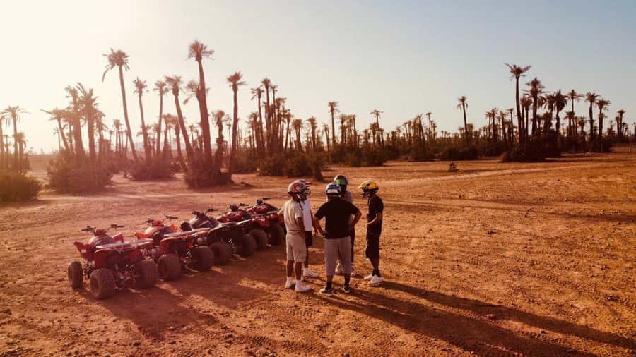 Quad biking in Marrakech's desert palm grove - Key points to know before you book