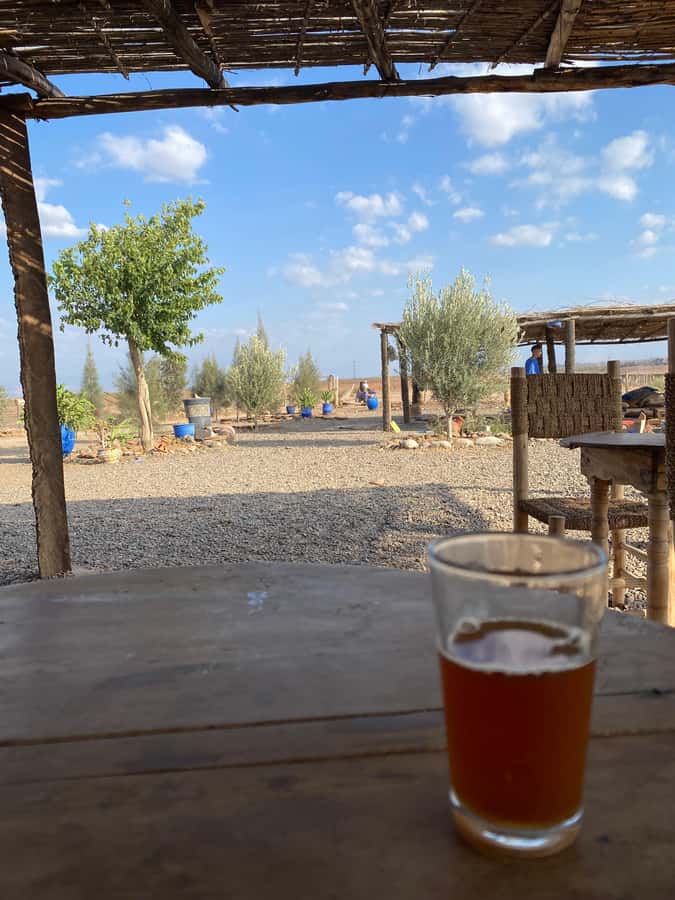 Quad biking in Marrakech's desert palm grove - How much quad riding do you really get?