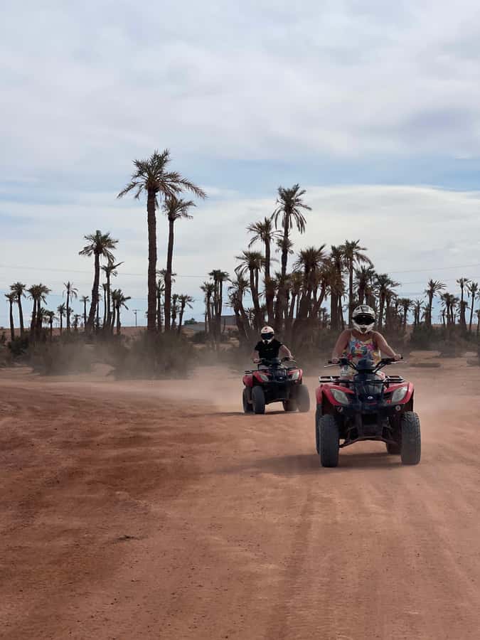 Quad biking in Marrakech's desert palm grove - Who will enjoy this Palmeraie ride?