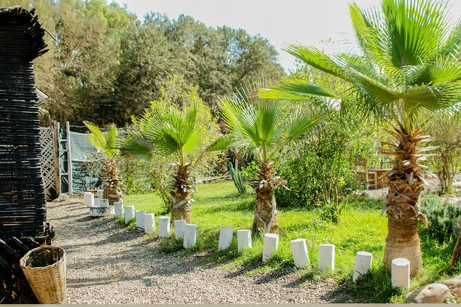 Quad Biking on the Beach and Forest Dunes with Pickup from Agadir - From Agadir hotel pickup to the starting point