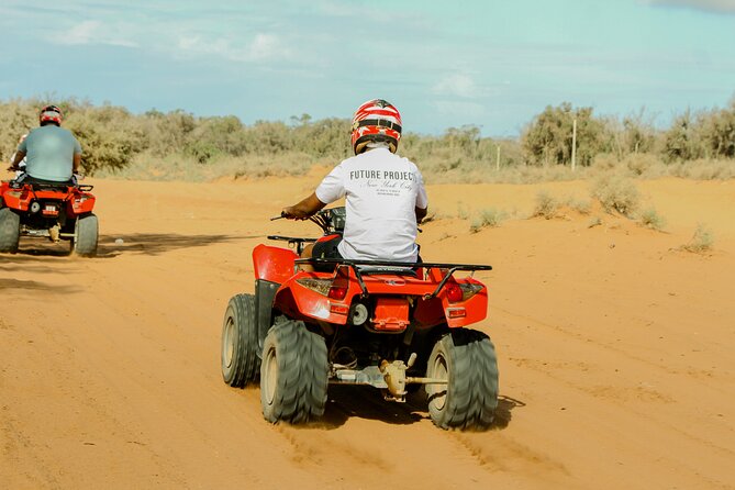 Quad Biking on the Beach and Forest Dunes with Pickup from Agadir - Lamzar Desert and the golden dunes