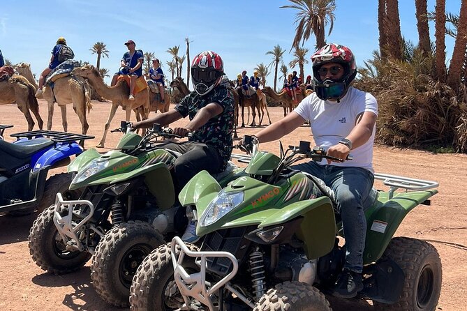 Quad in the Palmeraie of Marrakech - Key points at a glance