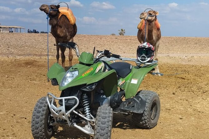 Quad in the Palmeraie of Marrakech - What the two-hour route is really like