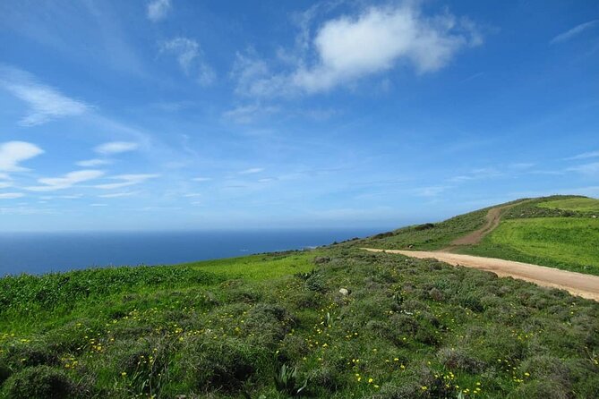 Quad or Buggy Tour from Coral Bay to Adonis Baths - What this Coral Bay adventure is really like