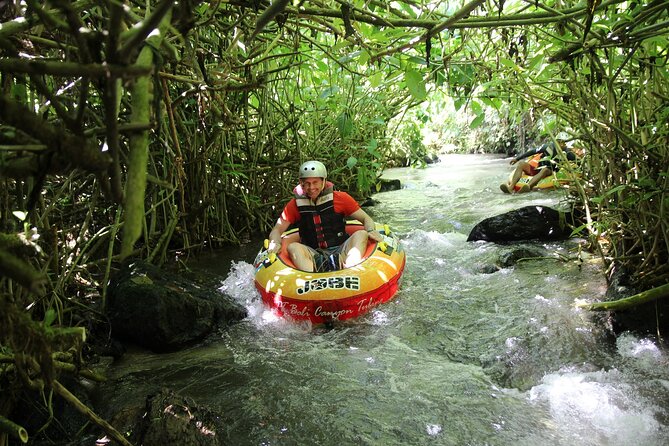 Quad or Buggy Tour with Canyon Tubing Adventure in Bali - How the cost measures up