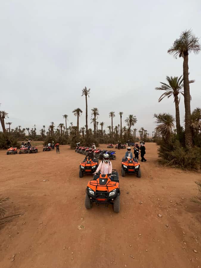 QUAD PALMERAIE MARRAKECH - What this Palmeraie quad tour is really like