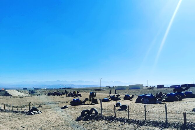 Quad Ride In The Agafay Desert - Mint tea at a desert camp