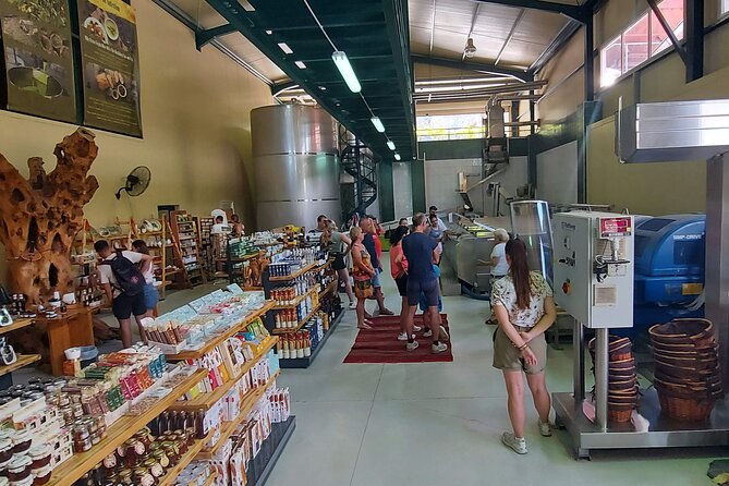 Quad Safari Off-Road Evening Tour - Olive groves, vineyards, and a working oil stop