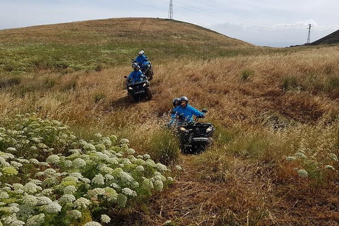 Quad Tour Excursion from the Castle to the Sea - Is $84.69 a fair price?