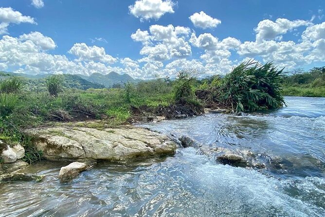 Rastafari Cultural ATV Community Experience from Montego Bay - Forest, farms, and a working ganja field