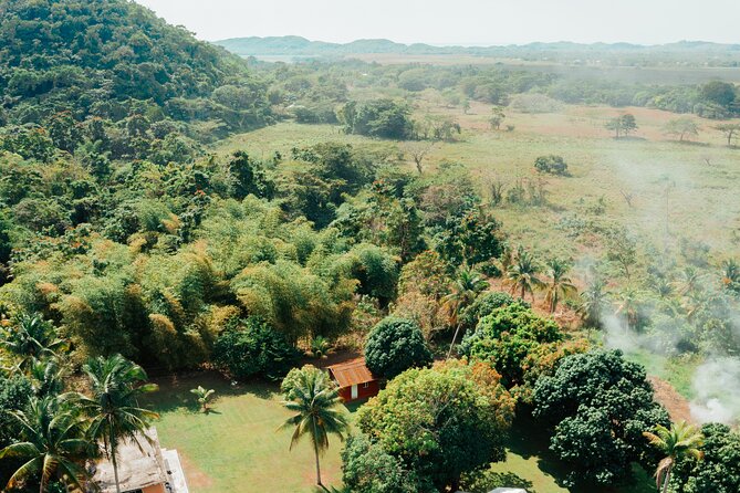 Rastafari Cultural ATV Community Experience from Montego Bay - What the $164.59 price really covers
