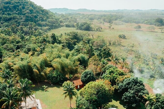 Rastafari Cultural ATV Community Experience from Negril - Leaving Negril for the Jamaican countryside