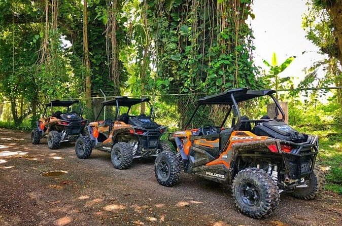 Rastafari Cultural ATV Community Experience from Negril - Cooling off in the natural mineral pool