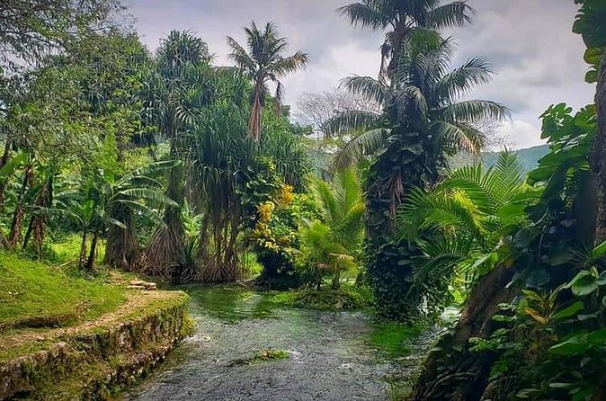 Rastafari Cultural ATV Community Experience from Negril - Is $164.59 a fair price?
