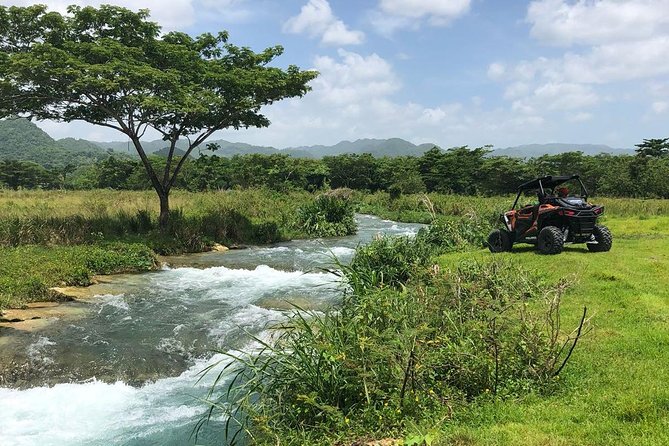 Rastafari Cultural ATV Community Experience from Negril - A short walk into the RastaSafari property