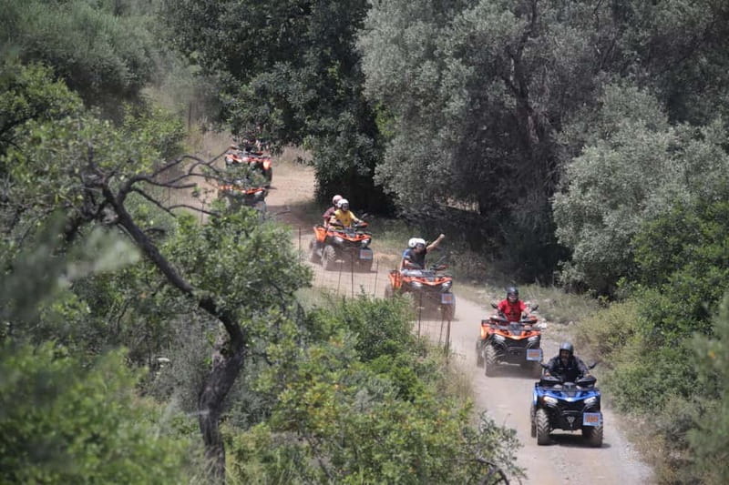Rethymno Bali & Panormo:Quad Safari & visit Cave 57km 4hours - Country roads and one of Crete’s biggest olive groves