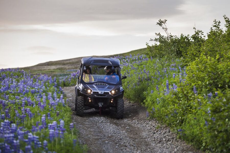 Reykjavik: Buggy Safari Tour with Hotel Transfers - Who will enjoy this outing most