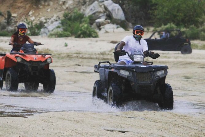 Ride through Bajas wild beauty—from desert trails to ocean views. - How the guides shape the experience