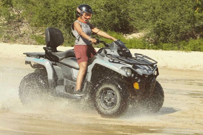 Ride through Bajas wild beauty—from desert trails to ocean views. - What the $76.50 price really covers