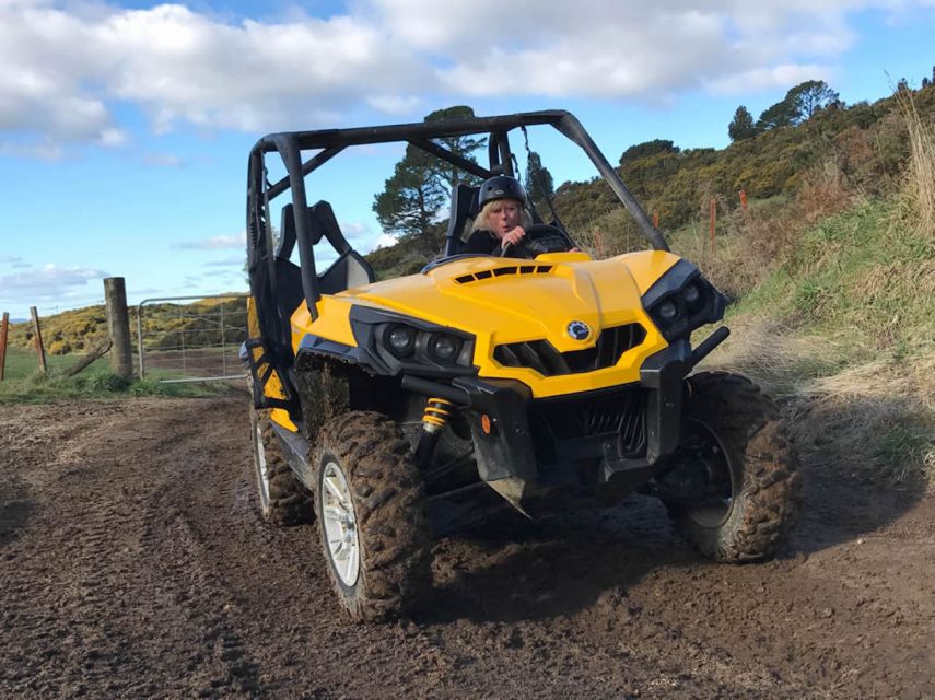 Rotorua: 4×4 Self-Drive Buggy Tour Through Farm and Bushland - Farm tracks and native bush make up the main drive