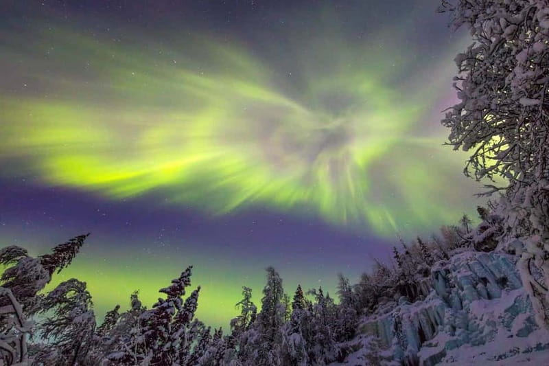 Rovaniemi: Northern Lights Quad Bike Tour - Should you book it?