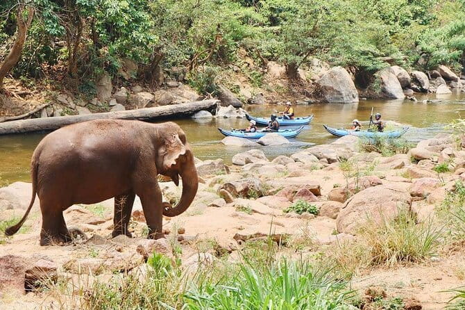 Safety whitewater rafting in Chiangmai by Khampan Rafting - Is $55.07 Good Value?
