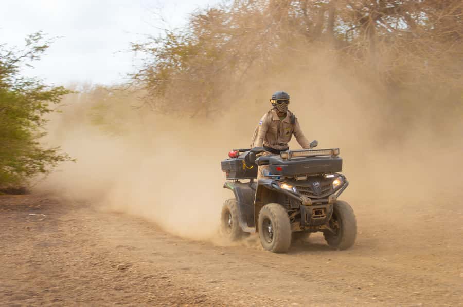 Sal Island: 4-Hour ATV Quad Island Tour - Lemon sharks at Shark Bay
