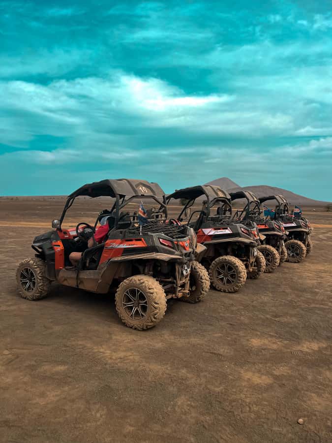 Sal Island: Quad Tour with Local Guide - Key points to know before you book