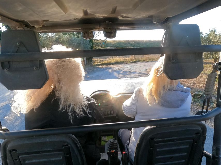 Salou: Buggy Safari with Hotel Transfer - Key points to know before you book
