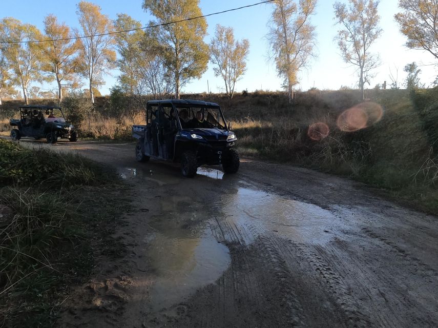 Salou: Kid's Buggy Driving Experience in Safe Environment - How the experience compares with a longer attraction