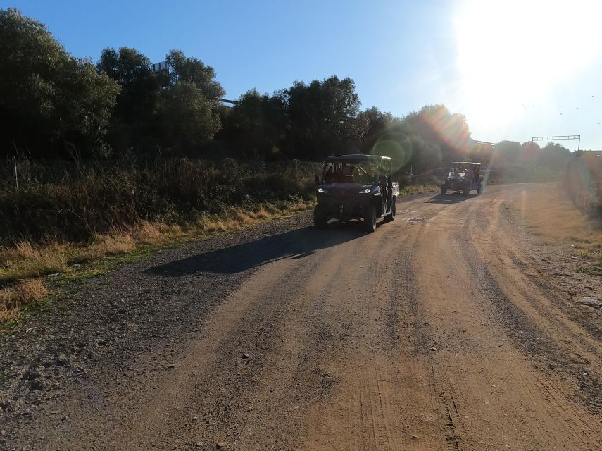 Salou: Kid's Buggy Driving Experience in Safe Environment - A first driving lesson with a petrol engine