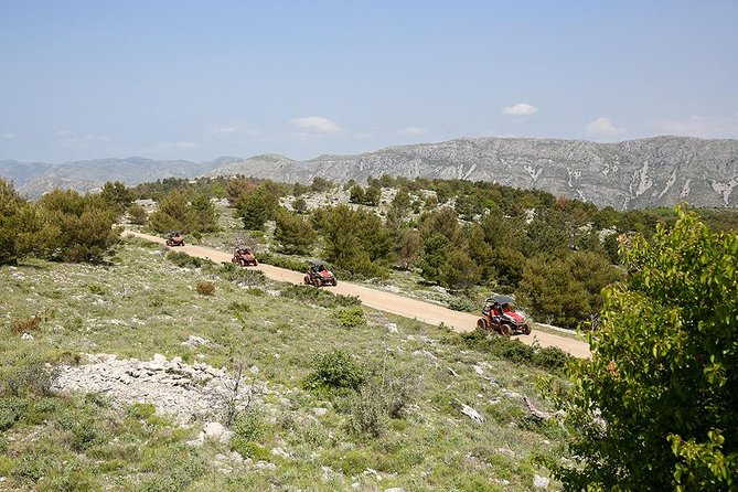 Self-drive Off Road Buggy - Dirt tracks, pine roads, and open views