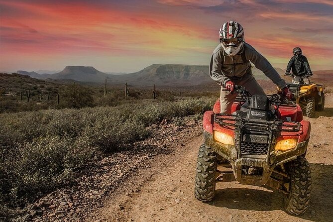 Self-Guided Centipede Desert ATV Rental - Desert views, prickly pears, and a possible burro